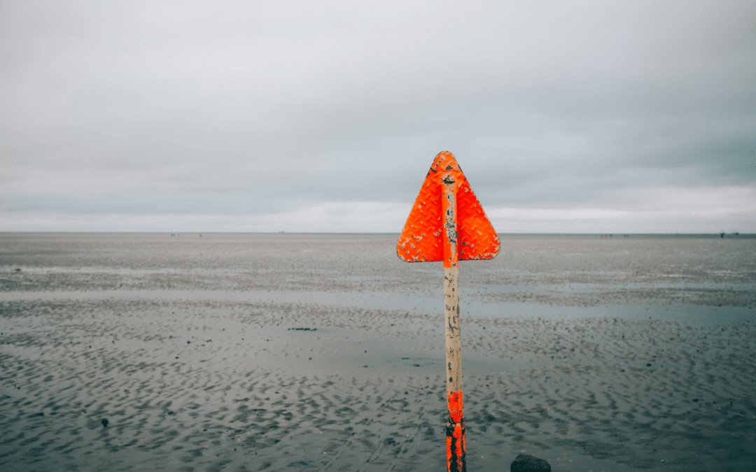 When Your Principles Lead You Astray